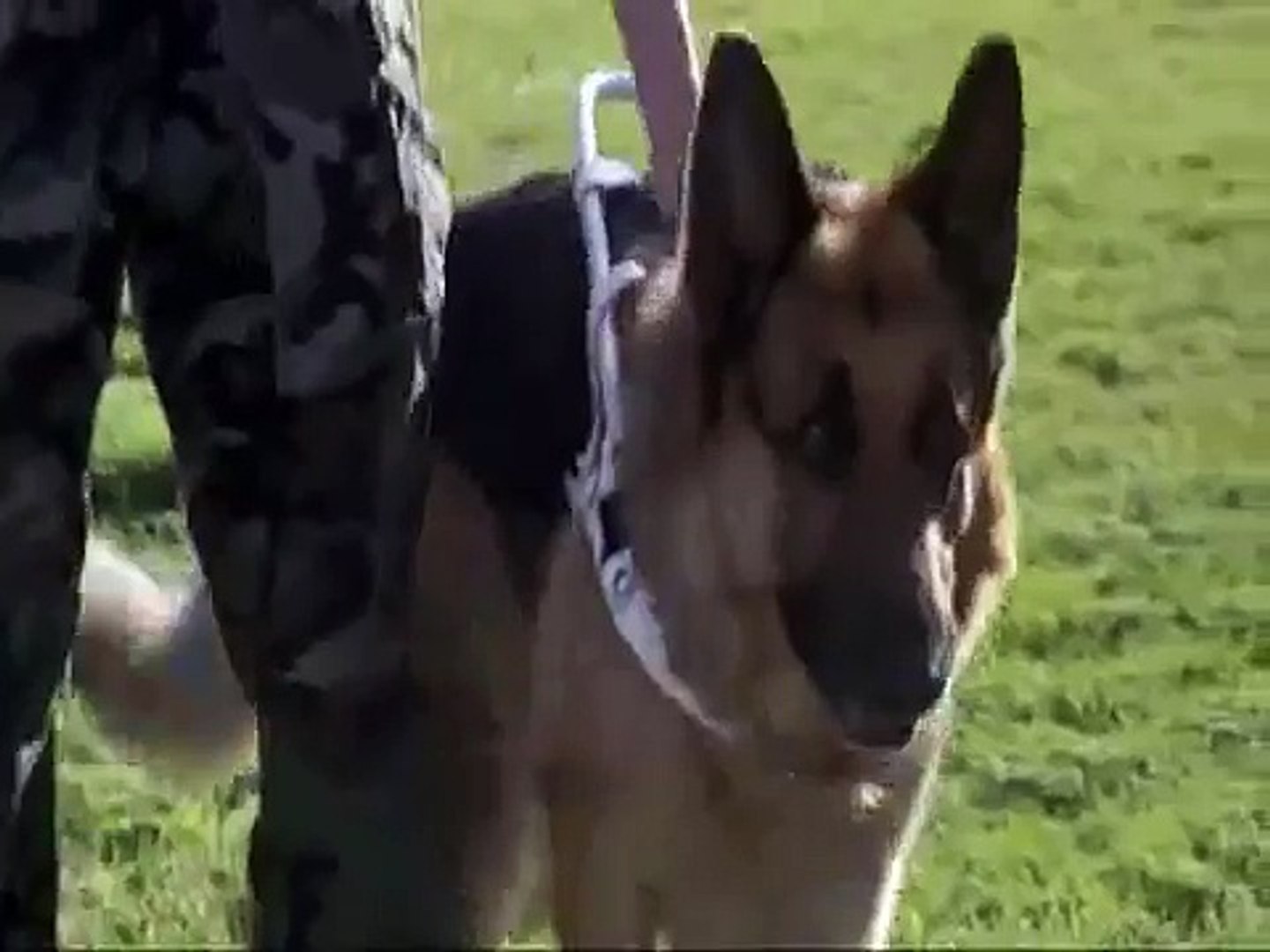 Major Payne Ending Kahlschnitt video Dailymotion