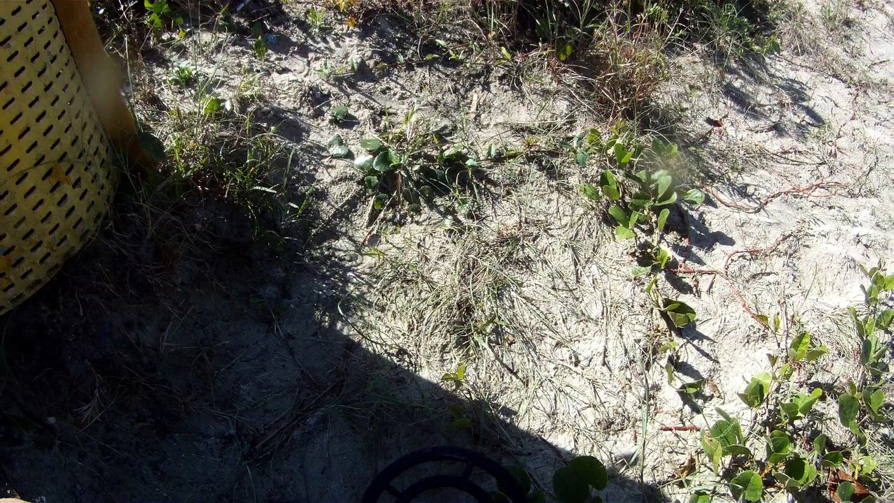 CAMINHADA NAS ONDAS E NOS MARES RICOS, VIDA, VIVA A VIDA, UBATUBA, SP, BRASIL, 17 DE JUNHO DE 2015, (38)