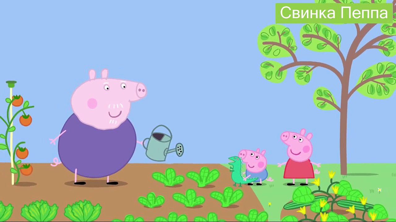 Свинка Пеппа - Обед