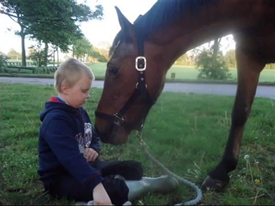 My Rescue Pony Jack