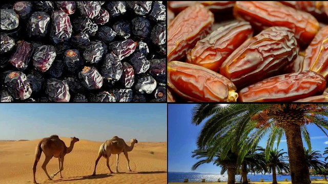 AJWA KHAJOOR IN PAKISTAN 15 sec