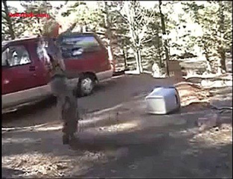 Nut Shot Prank Amazing Video