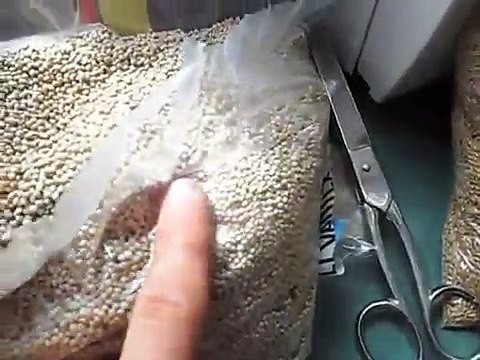 COMO HACER MIXTURA PARA LOS CANARIOS DE CANTO PARA CONCURSAR