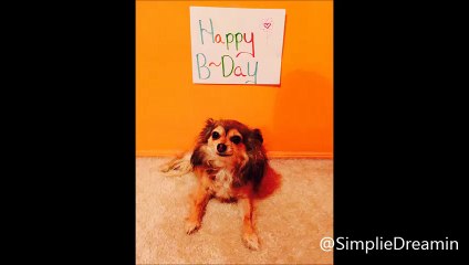 Happy Birthday Paula Abdul 2015