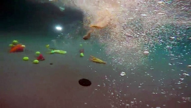 Deux chiens plongent dans une piscine pour ramasser des jouets