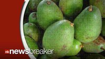 New Study Finds Avocado Provides Key In Curing Form of Cancer