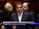 State Sen. Adriano Espaillat speaks in favor of NY State SAFE Act