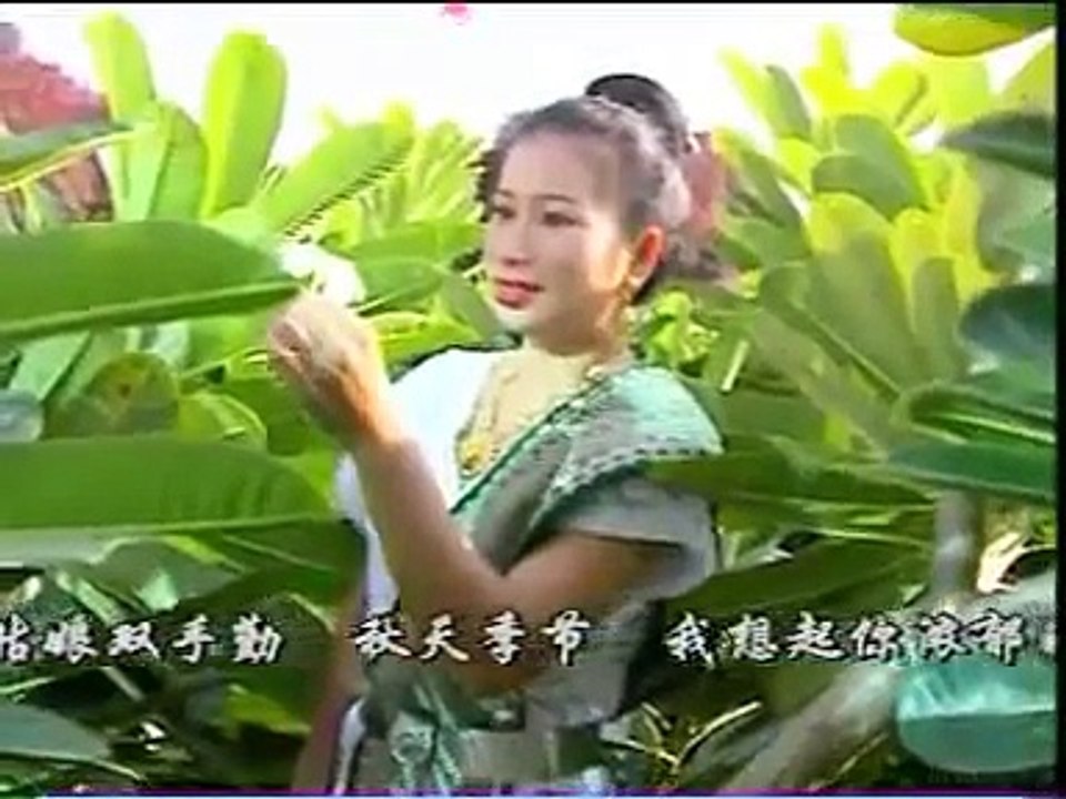 Dok Champa