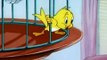 Tom and Jerry Cartoon Kitty Foiled 1947