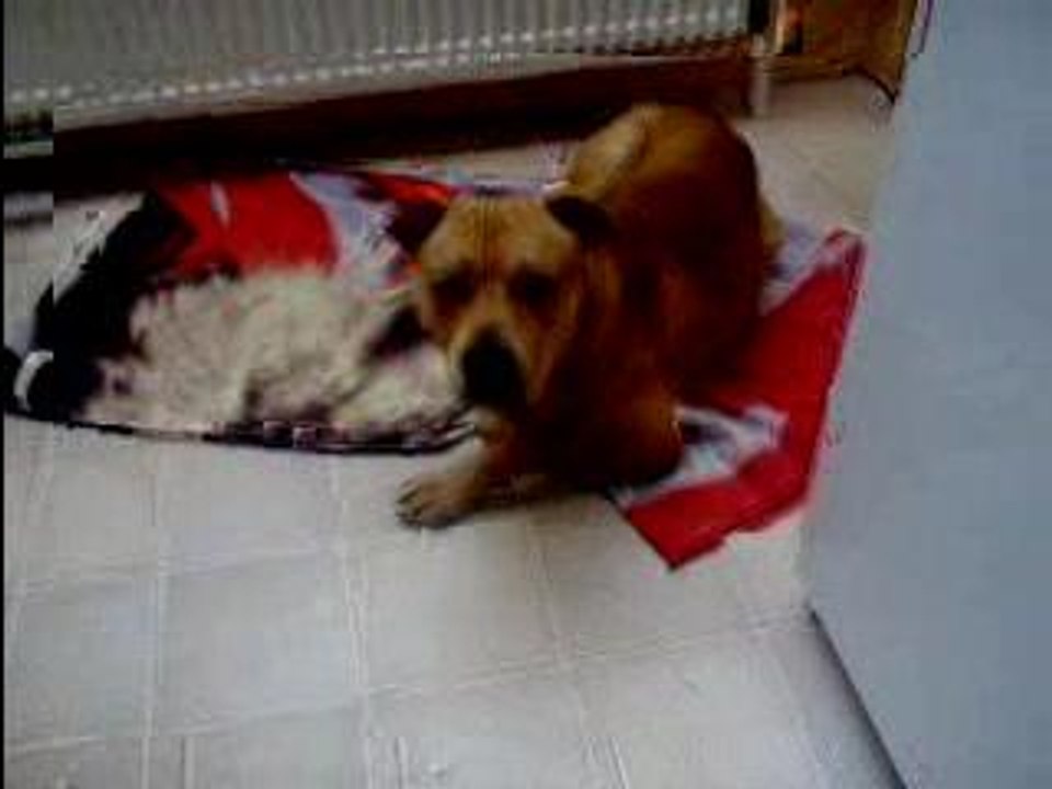 jack 10 mois