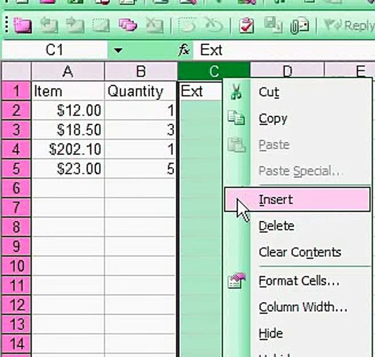 Excel Spread Sheet Basics - Using a Formula
