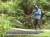 Water pollution in mining communities in Ghana