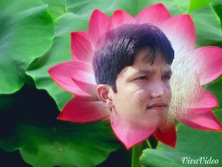 Abi tou Party Shrow hoe ha