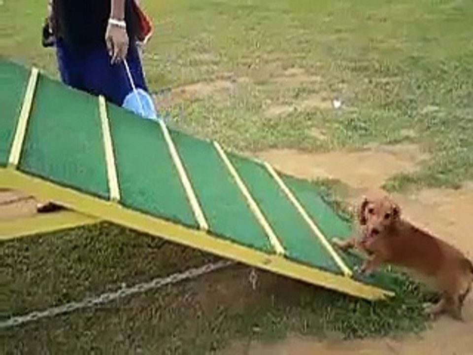 Nikey up the ramp