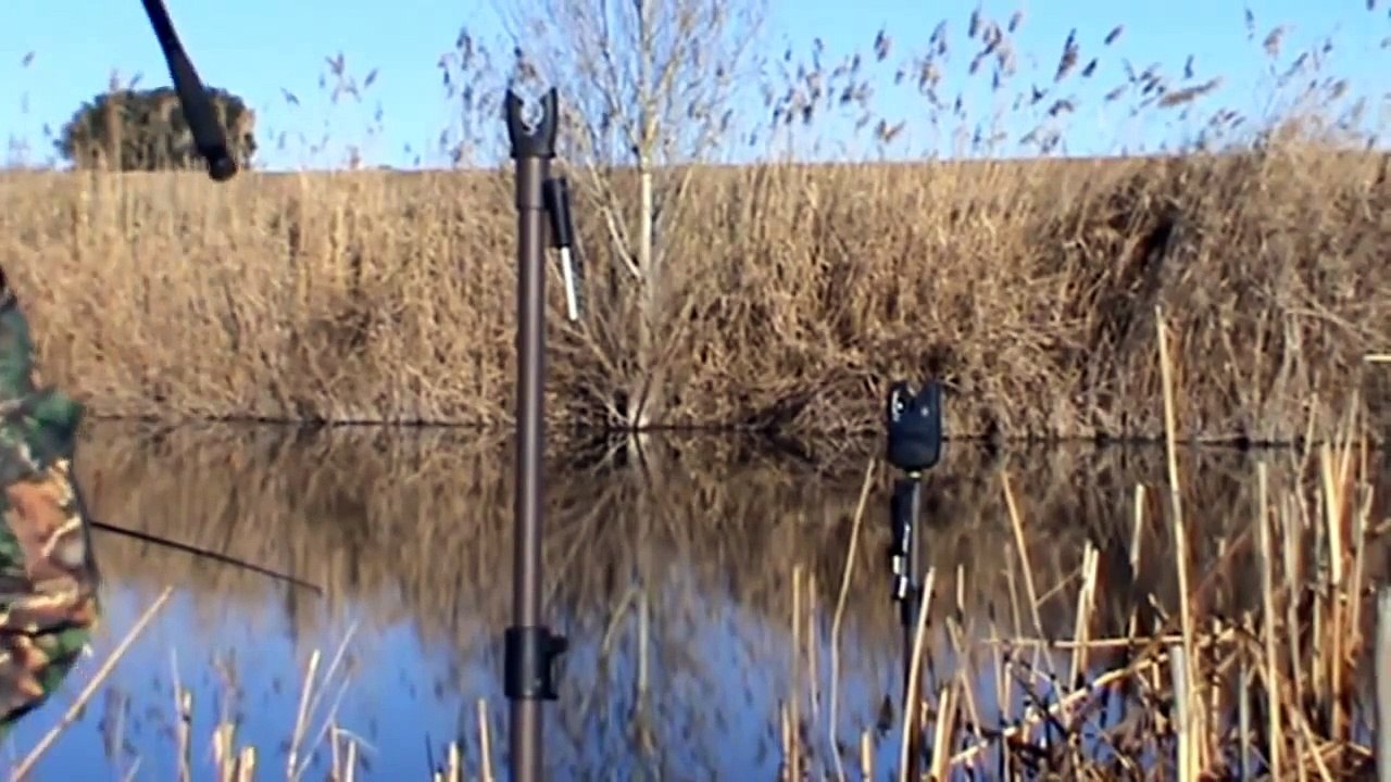 Carp run compilation