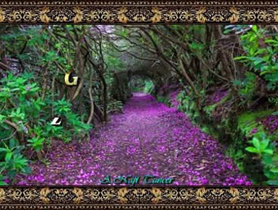 Gülşen KUTLU *Zeytin Yaprağı Yeşil*