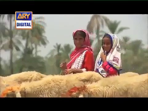 Rehman Ramzan Naat by Dr. Amir Liaqat Hussain