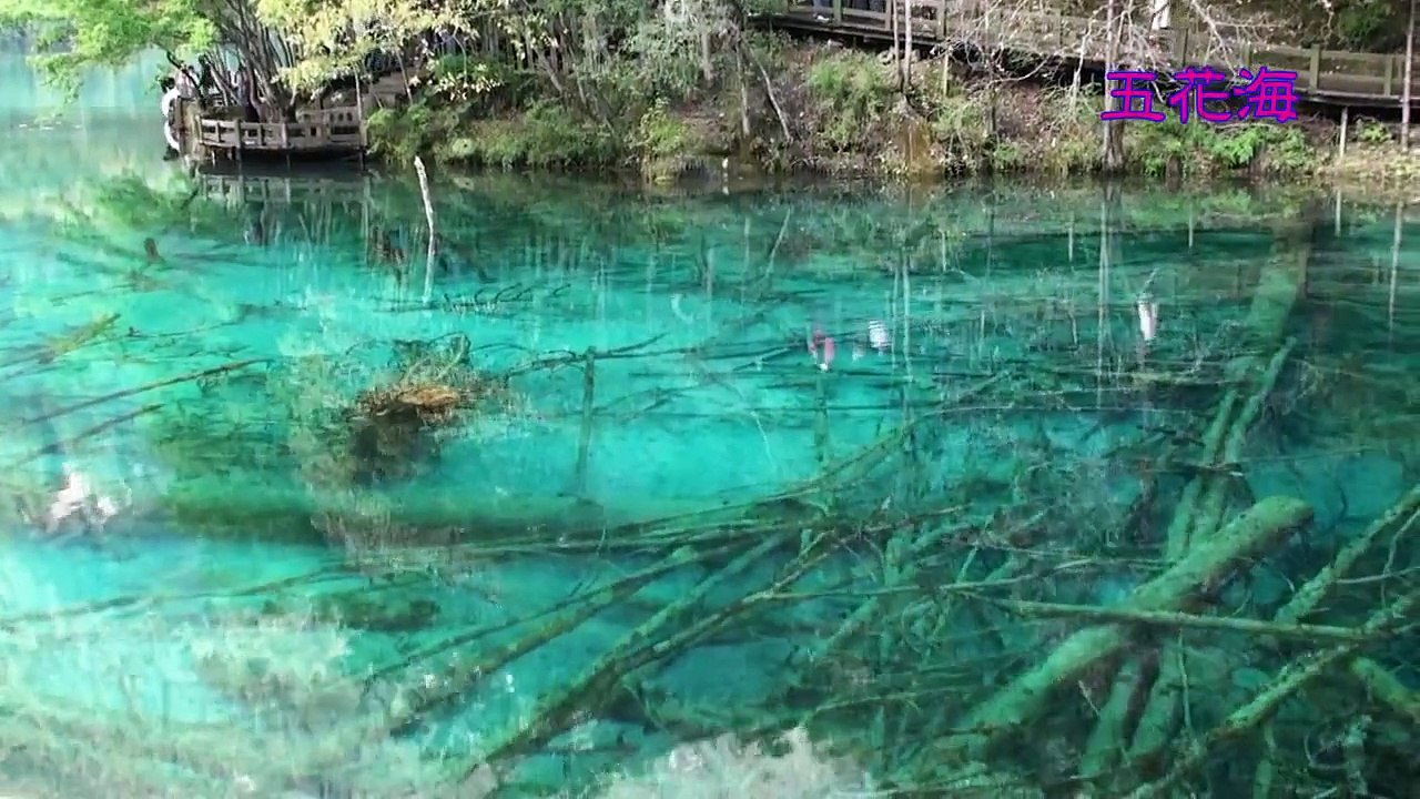 中国旅行　九寨溝  ～峡谷に広がる湖と滝の王国～