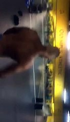 The Gun Circus James Yates shows you a bodybuilding routine