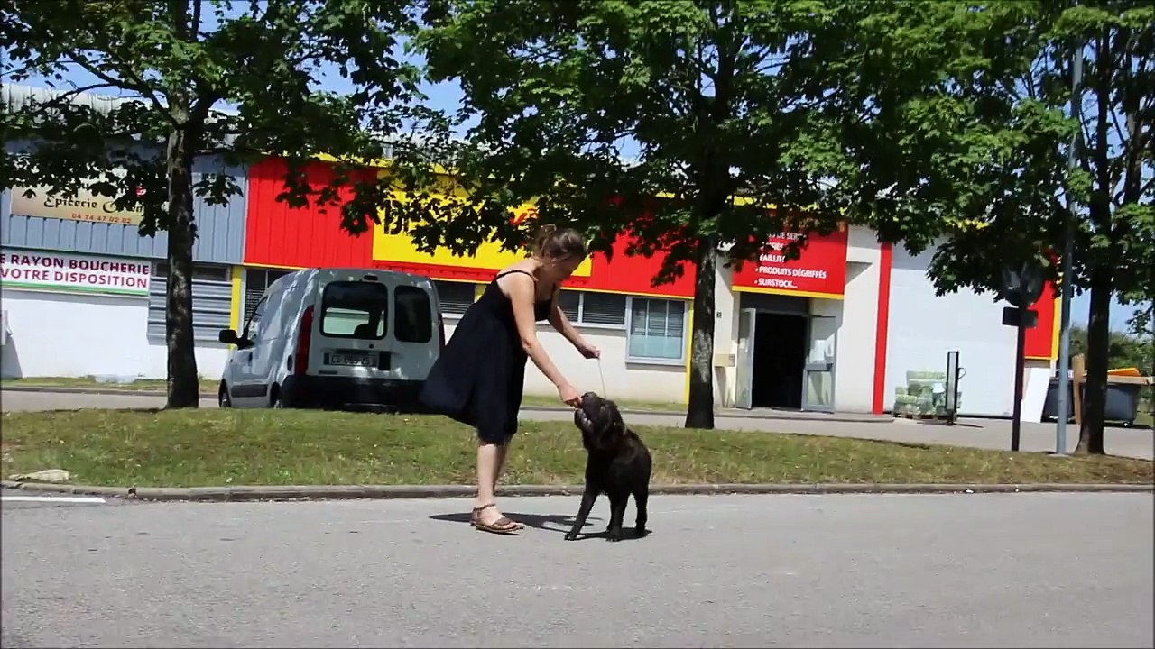 Je Tu Nous Lov à St Trop' du Nuorilang, 9 mois