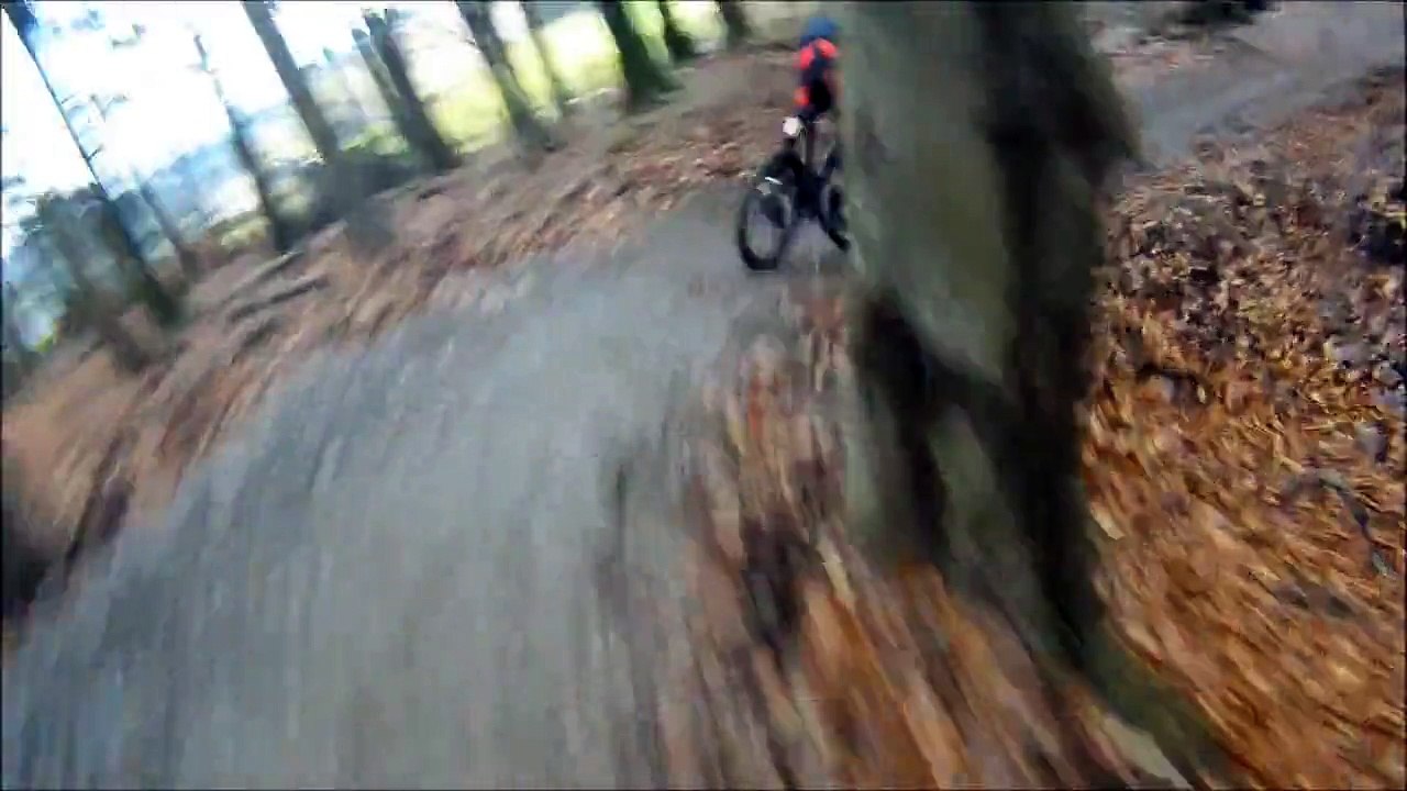 Afan Bike park