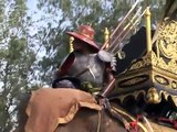 El Festival de Elefantes en Tailandia