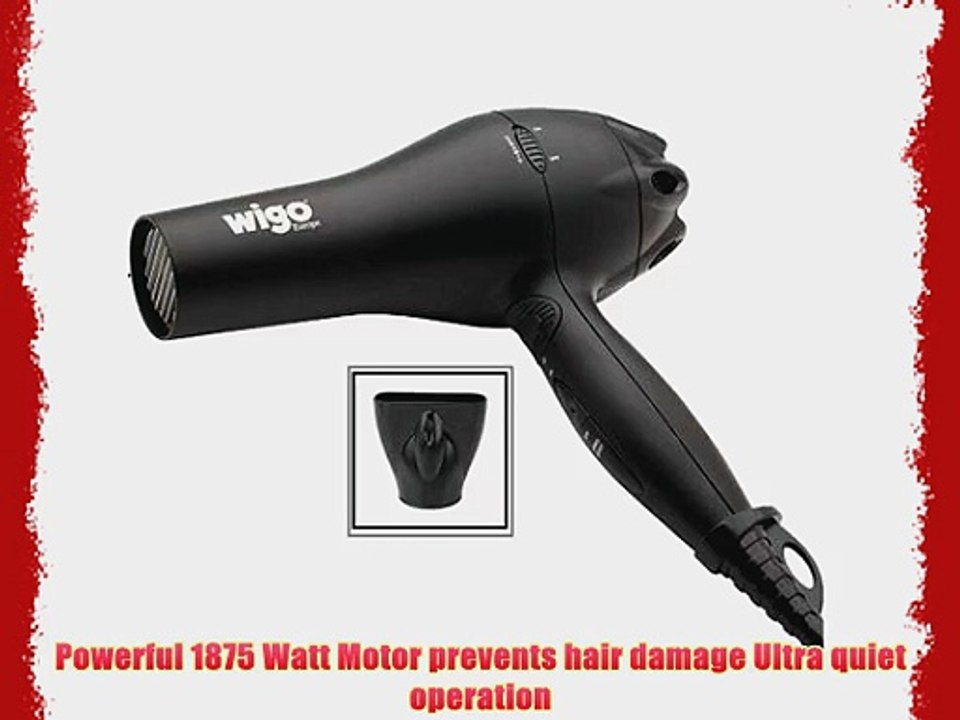 Wigo Lightweight 1875 Powerful Ionic Hair Dryer with Direct Ionic Technology and Multiple Heat/Speed