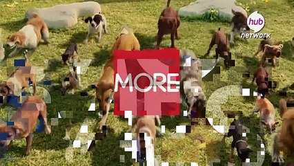 April Hub Family Movies (Promo) - Hub Network