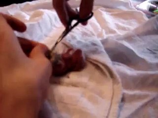 1 Day Old Baby Bunny Rescue!