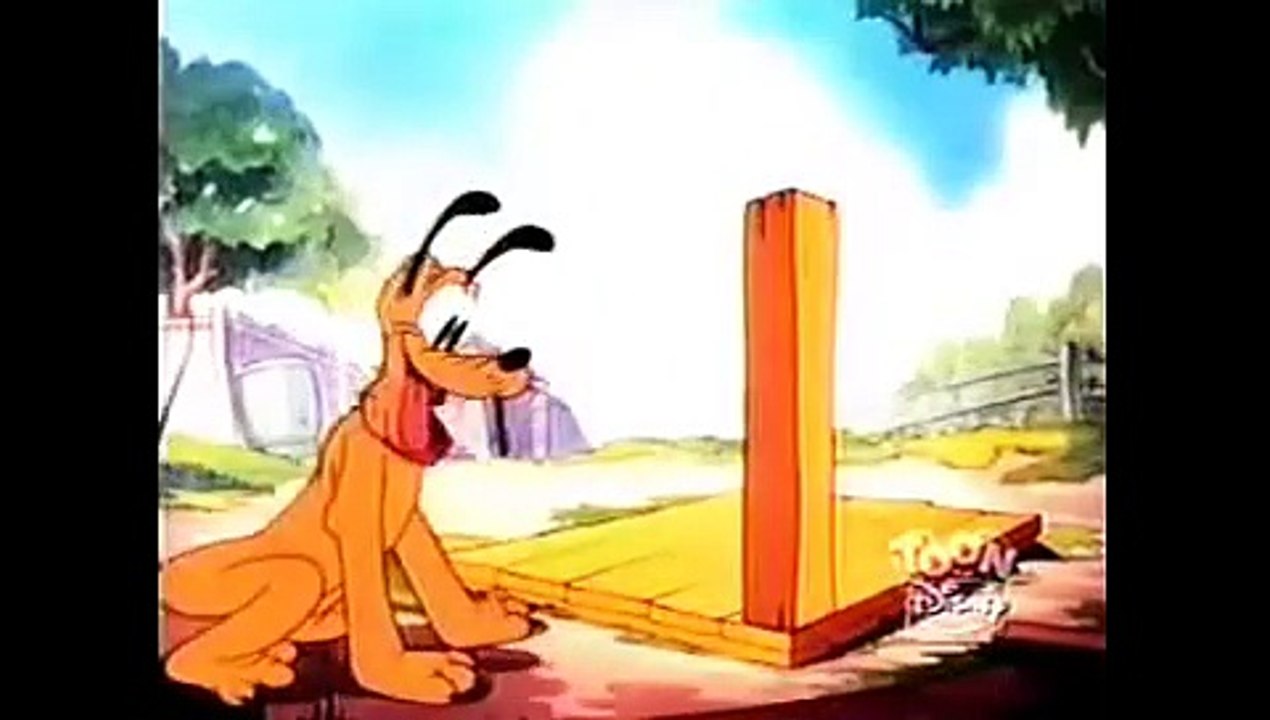 Funny videos | Funny cartoon | Cartoon for children | Cartoon moives | Cartoon collection #002