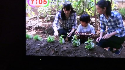 美しすぎる佳子さま　Beautiful　Japanese　Princess　Kako　Your　Song