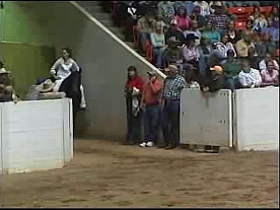 Horse riding tricks