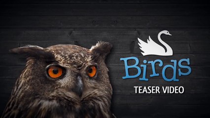 Vogelführer PRO - Teaser - Artenführer + Quiz Spiel für iPhone & iPad