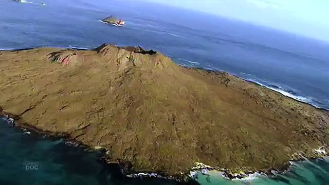 Festín de Buitres | Naturaleza - Planet Doc