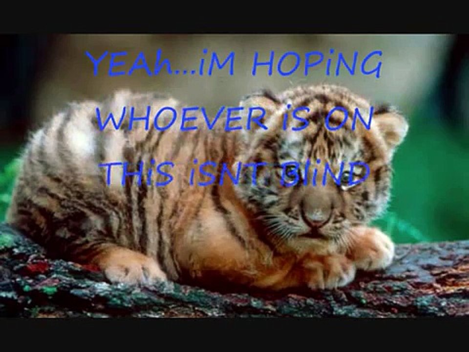 CKY- Chinese Freestyle Rap [with lyrics]