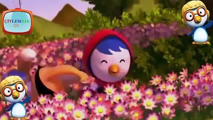 Küçük Penguen Pororo Türkçe İzle Yeni Bölüm   Kırmızı Başlıklı Petty