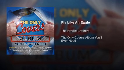 Fly Like An Eagle