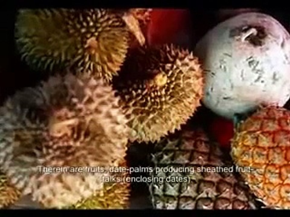 Surat Al-RAHMAN -MOHAMMAD ELLOHIDAN