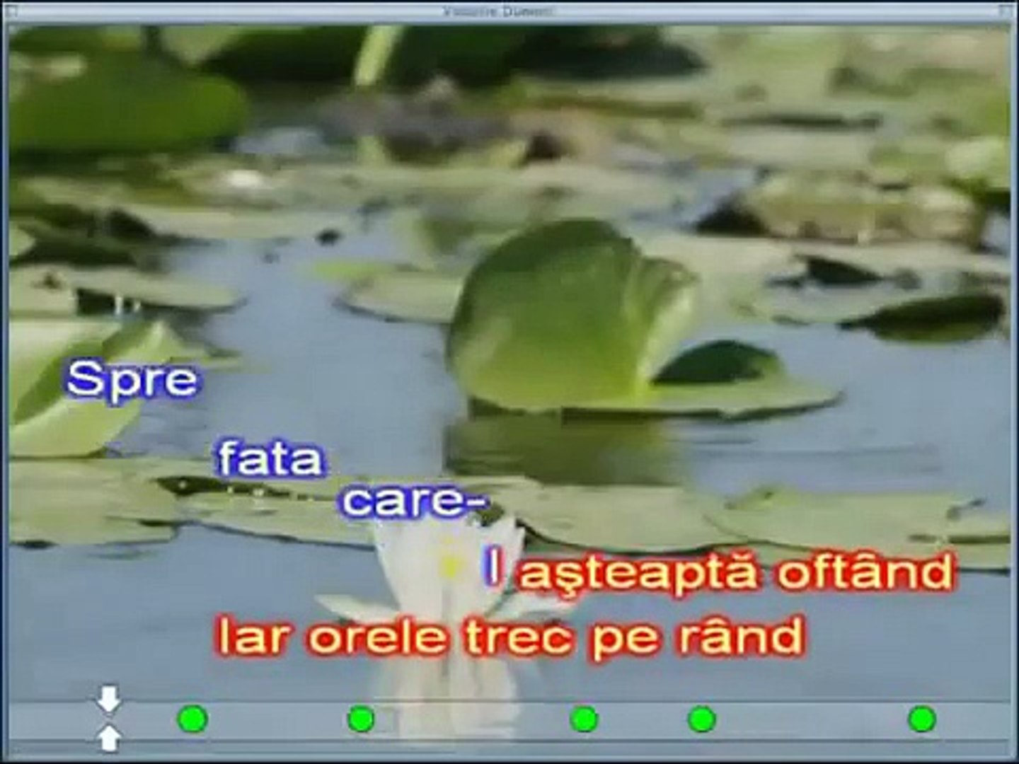 Valurile Dunarii (Barca pe valuri pluteste usor) (Karaoke) - video  Dailymotion