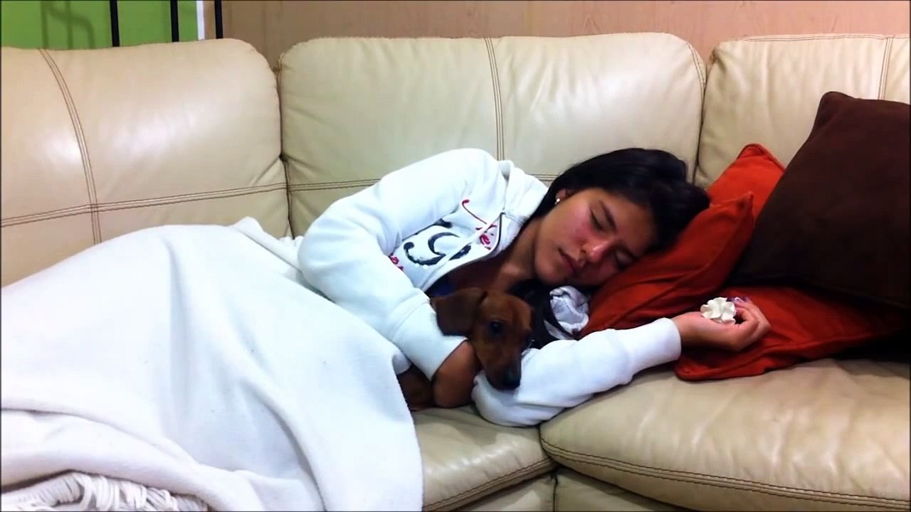 Shaving cream prank (sleeping prank, funny jokes, prank to asleep, scare sleeping girl)