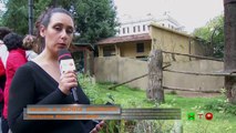 Bioparco di Roma - A tu per tu con la natura - Elefanti - www.HTO.tv