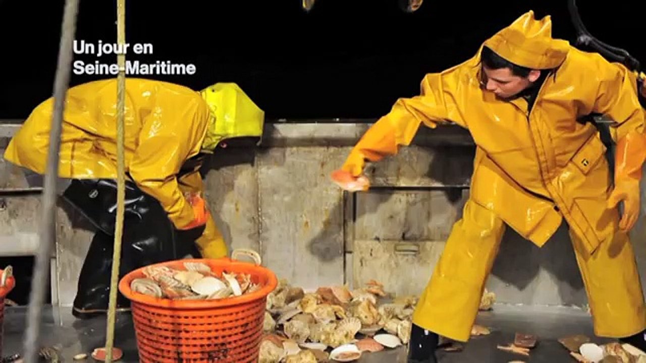 La pêche à la Coquille Saint-Jacques