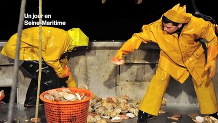 La pêche à la Coquille Saint-Jacques