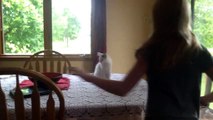 Raping Cats (worst pic for vid ever)