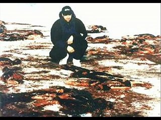 Canada's Seal Slaughter
