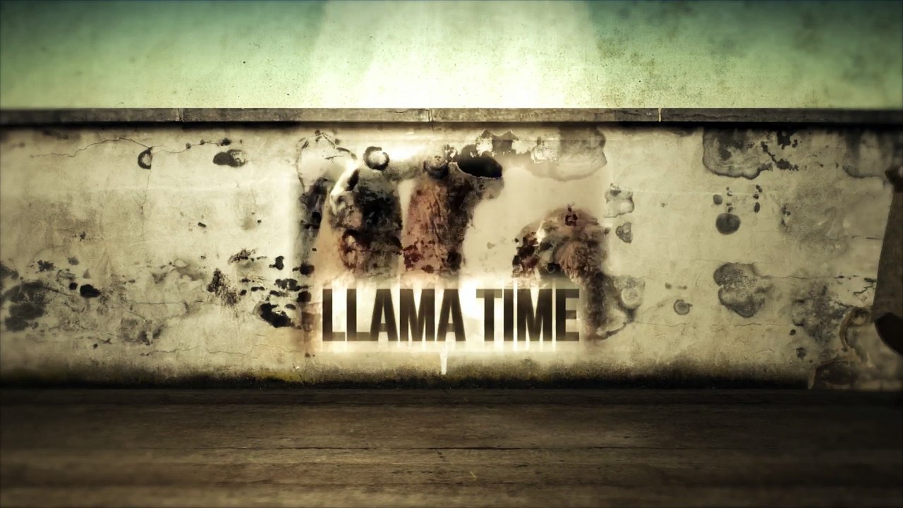 Llama Time - DISASTER RELIEF
