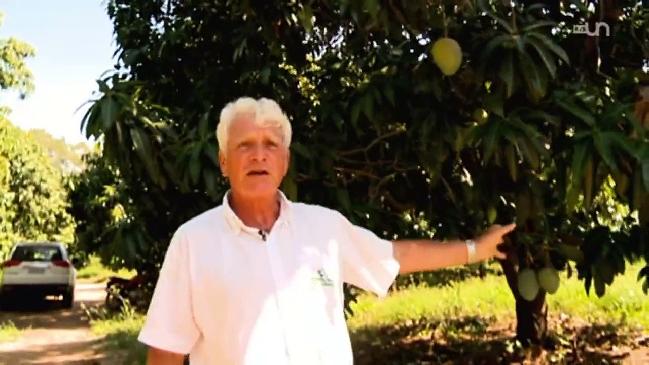 TTC à Sao Paulo: Pierre Landolt, le Suisse qui compte au Brésil (5/6)