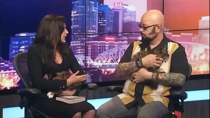 My Cat From Hell Star Jackson Galaxy Advises on How to Make Your Feline Friendly