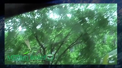 ::: MAHER ZAIN IN MADRID 2012 :: MAKING OF :::