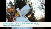 Our Lady of Sorrows Apparition 2011